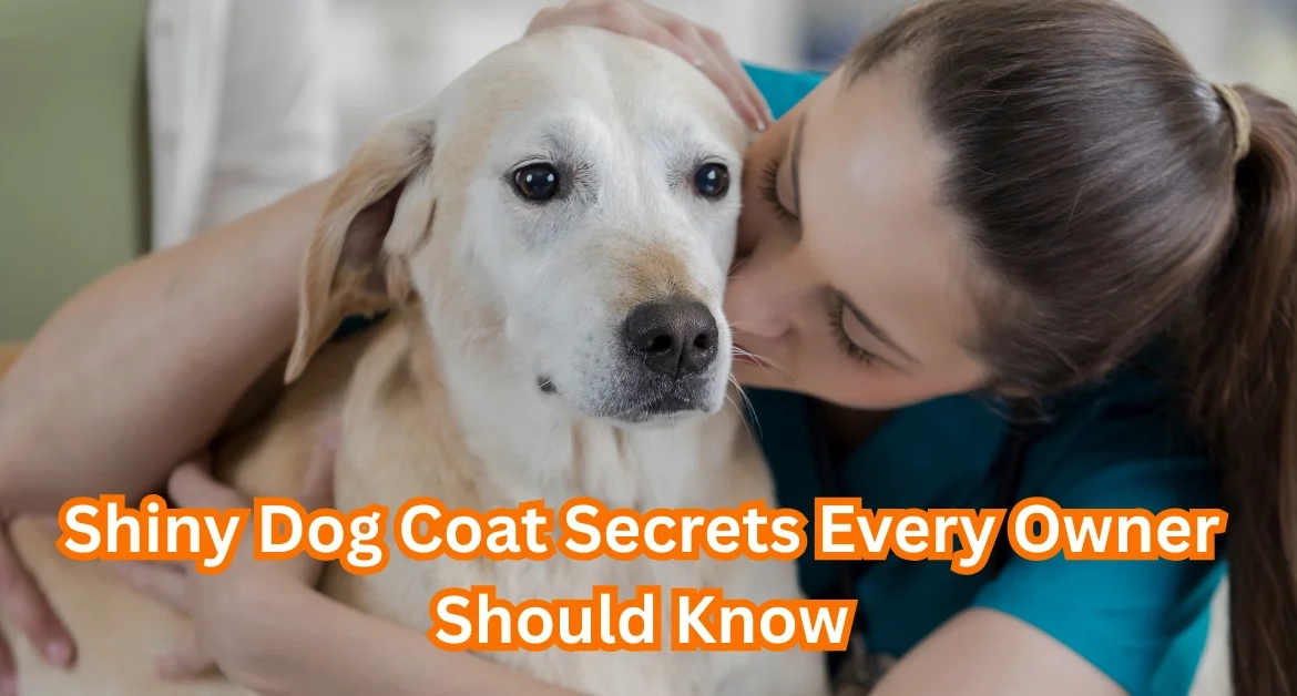 How to Keep Your Dog’s Coat Shiny and Healthy