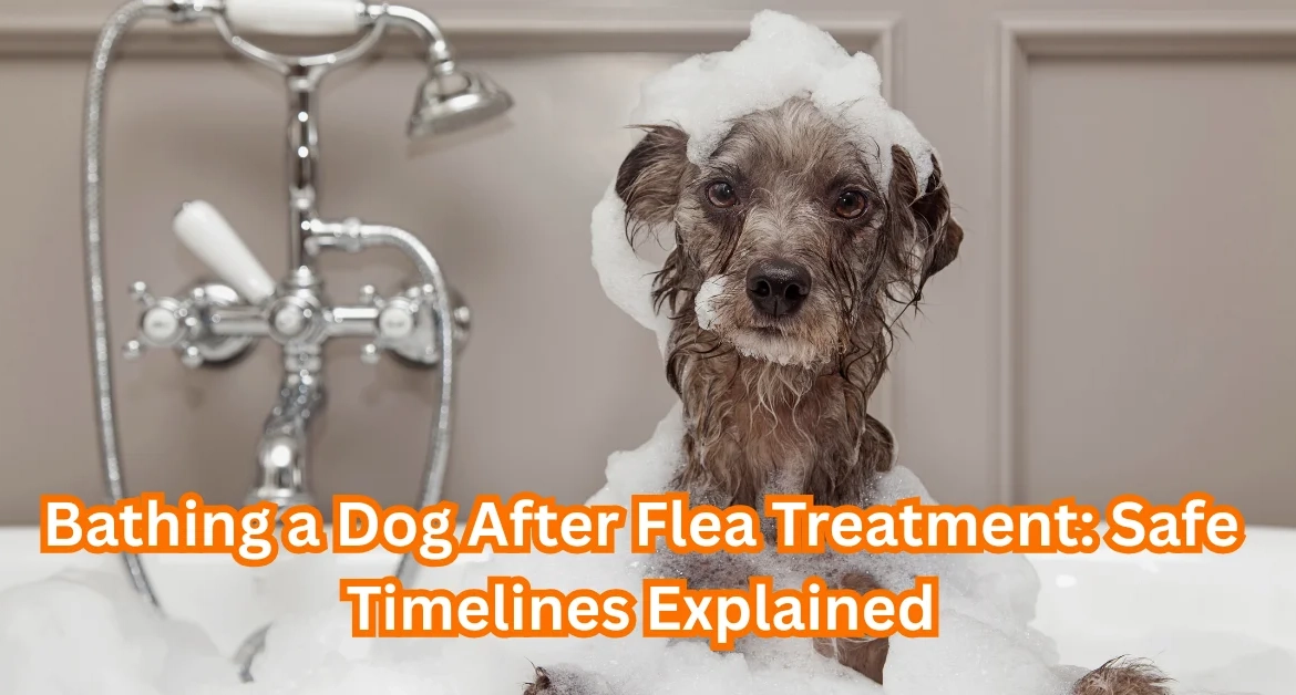 bathe after flea or tick treatment