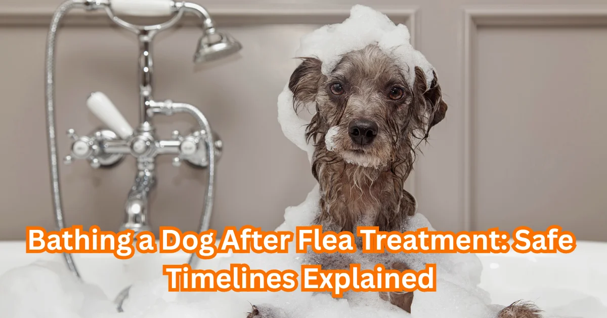 bathe after flea or tick treatment